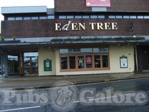 Picture of The Litten Tree