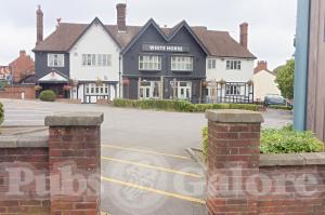 Picture of The White Horse