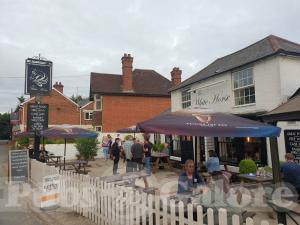 Picture of The White Horse