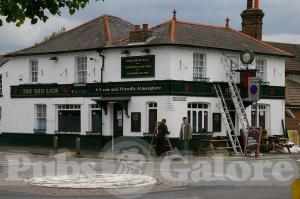 Picture of Red Lion