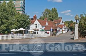 Picture of The Swan and Bottle