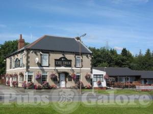 Picture of The Swan