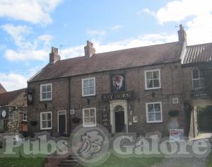 Picture of The Bay Horse