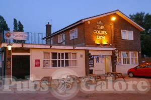 Picture of Golden Lion