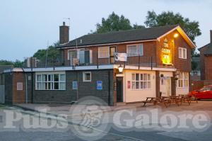 Picture of Golden Lion