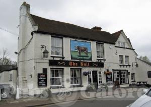 Picture of The Bull
