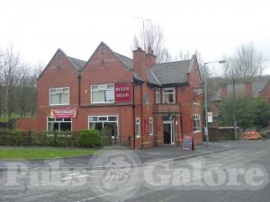 Picture of Bulls Head