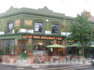 Picture of The Olive Tree