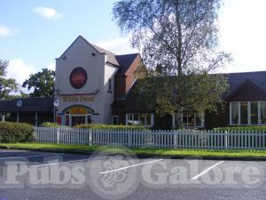Picture of The White Swan