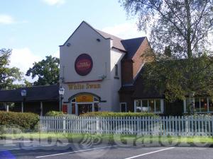 Picture of The White Swan