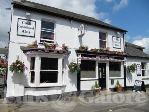 Picture of Queens Head
