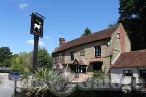 Picture of White Hart