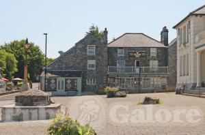 Picture of Plume Of Feathers