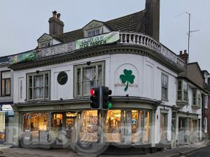 Picture of Shamrock