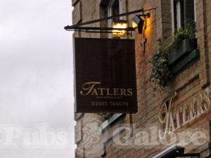 Picture of Tatlers