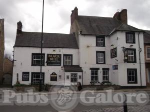 Picture of Black Bull