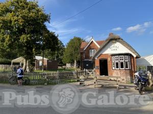 Picture of Royal Oak