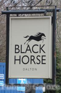 Picture of Black Horse