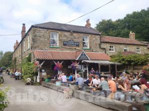 Picture of Hayburn Wyke