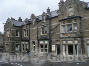 Picture of Bulls Head