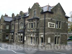 Picture of Bulls Head