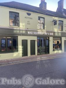 Picture of Mad Squirrel Tap