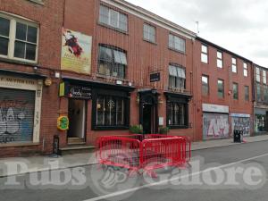 Picture of The Bay Horse