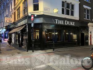 Picture of The Duke