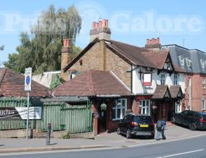 Picture of The Dolphin