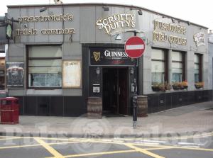 Picture of Scruffy Duffy's