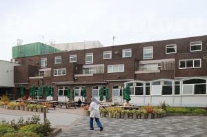 Picture of The Augustus John