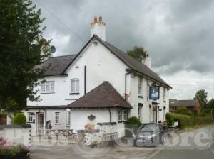 Picture of The Swan