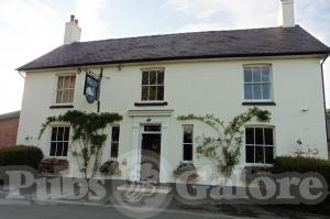 Picture of The Swan
