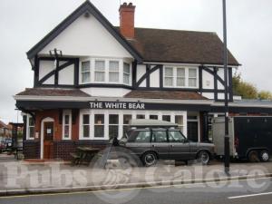 Picture of White Bear