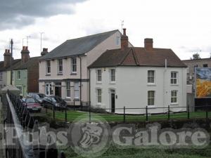 Picture of White Horse