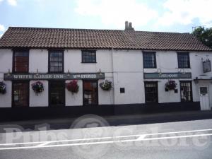 Picture of White Horse