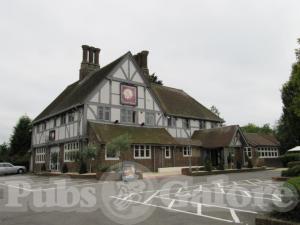 Picture of The Tudor Rose