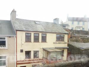 Picture of The Golden Lion