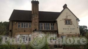 Picture of The White Hart