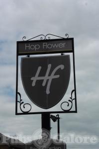 Picture of Hop Flower