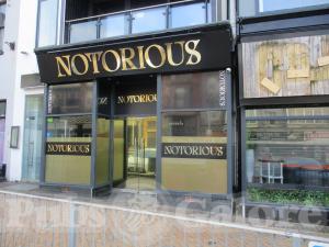 Picture of Notorious