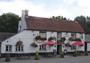 Picture of The Cricketers