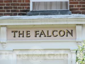 Picture of Falcon