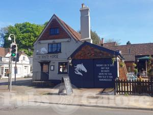 Picture of The White Horse