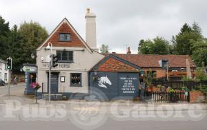 Picture of The White Horse