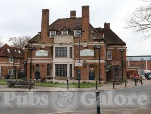 Picture of The Green Man