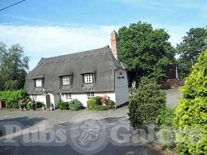 Picture of The Yew Tree