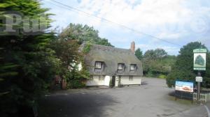 Picture of The Yew Tree