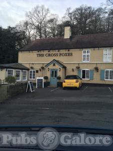 Picture of The Cross Foxes