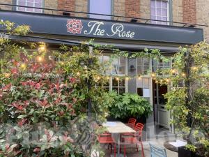 Picture of The Rose